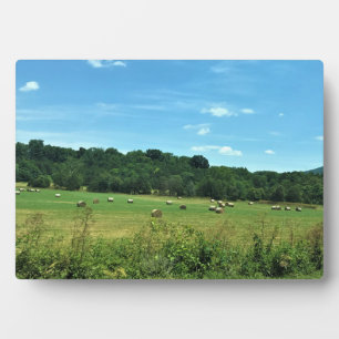 Hay Bales, Wytheville, Virginia Plaque