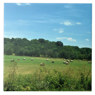 Hay Bales, Wytheville, Virginia Tile