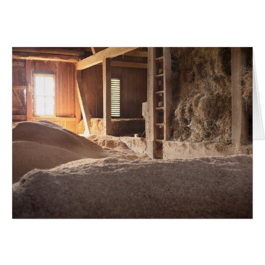 Hay Barn Filled With Sun Card