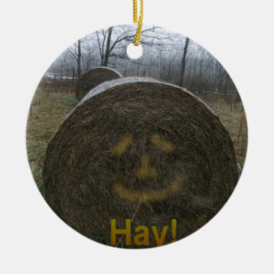 Hay! Ceramic Ornament