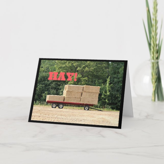 Hay ! Comment Ya Été ? Carte de vœux (Devant)