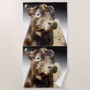 Hay Day: A Brown Cow’s Munching Moment in Pop-Out Beach Towel