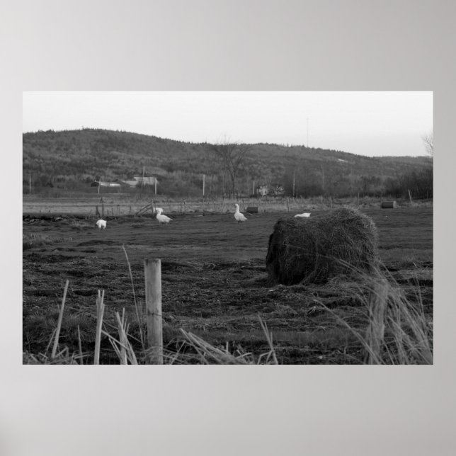 Hay Days Print (Front)