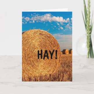 HAY FUNNY PUN HELLO Cartes de voeux