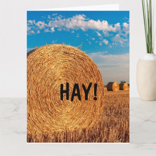 HAY FUNNY PUN HELLO Greeting Cards (Front)