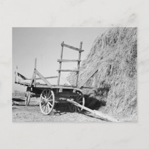 Hay stack and wagon – 1939. postcard