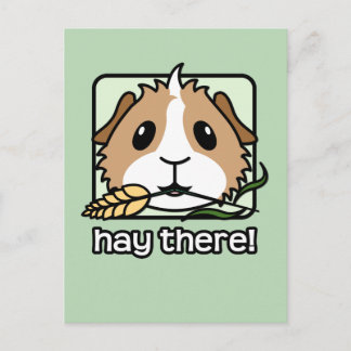 Hay There! (Guinea Pig) Postcard
