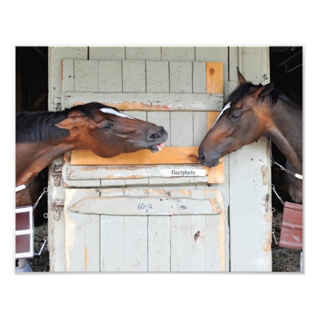 Hay There!!! Photo Print (Front)