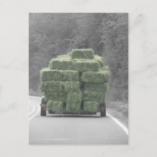 Hay there! postcard