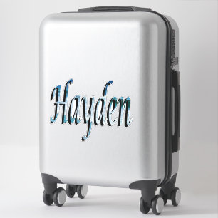 Hayden Name Logo