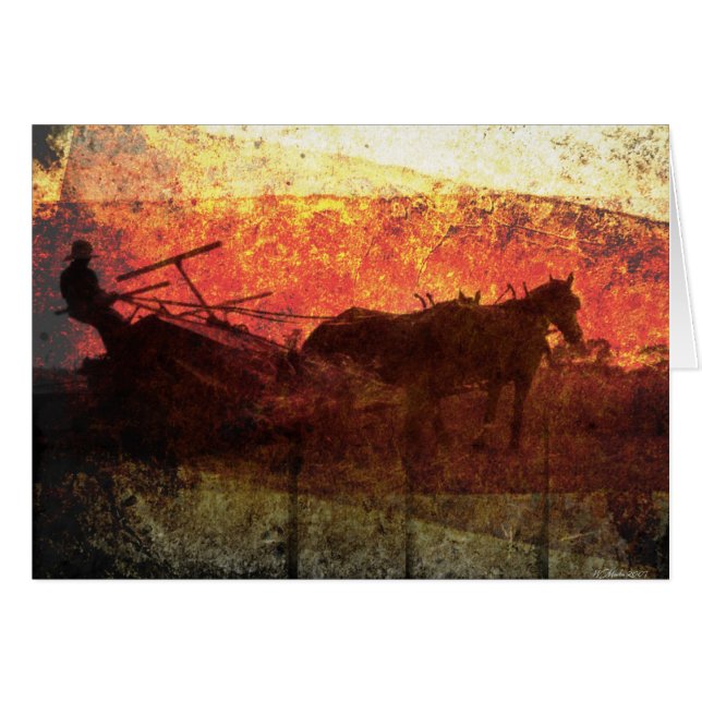 Haying at Seunset (Front Horizontal)