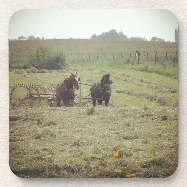 Haying Time Coaster (Front)