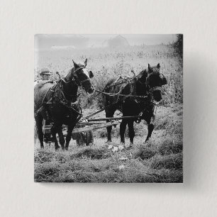 Haying Time in black and White 2 Inch Square Button