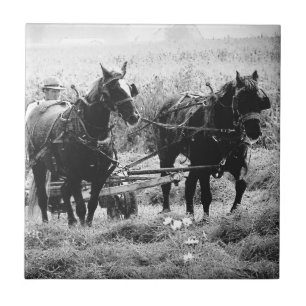 Haying Time in Black and White Tile