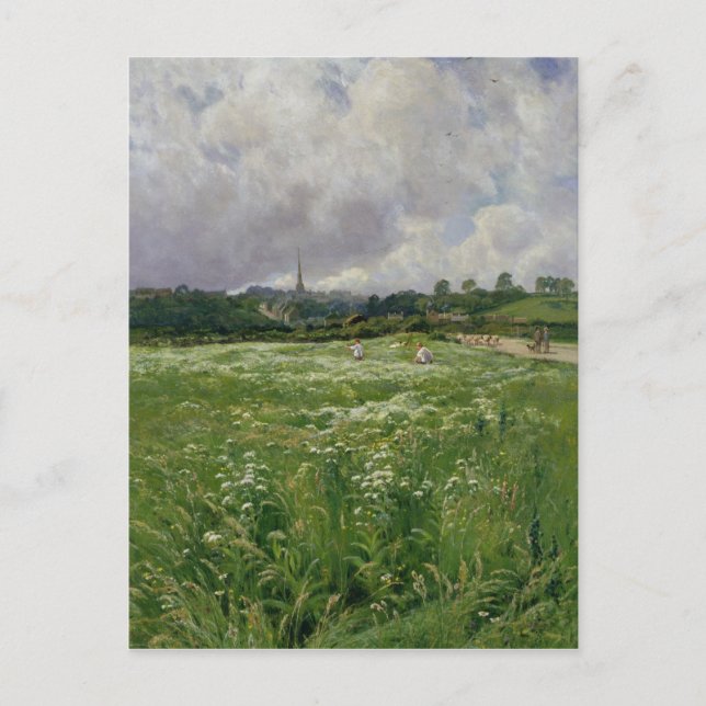 Haymaking Postcard (Front)