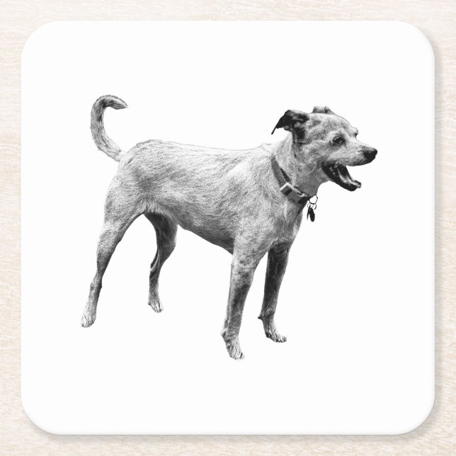 Hayride Echo Square Paper Coaster (Front)