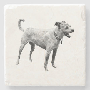 Hayride Echo Stone Coaster
