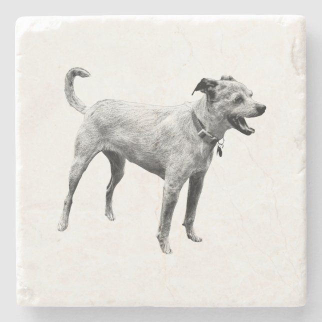 Hayride Echo Stone Coaster (Front)