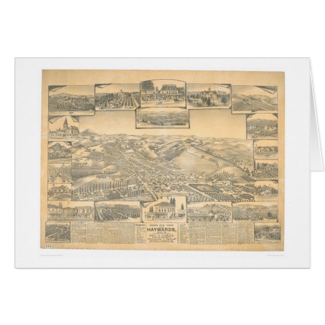 Hayward, carte panoramique de CA (0696A) (Devant horizontal)