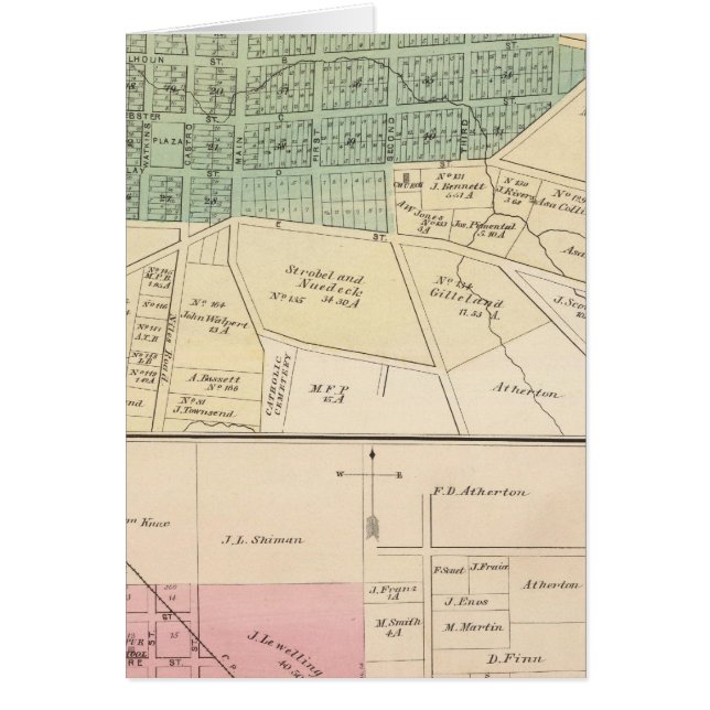 Haywards, San Lorenzo (Devant)