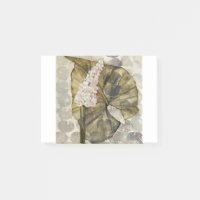 HAZ25 Amazonia 3.tif