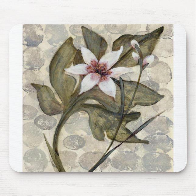 HAZ26 Amazonia 4.tif Mouse Pad (Front)