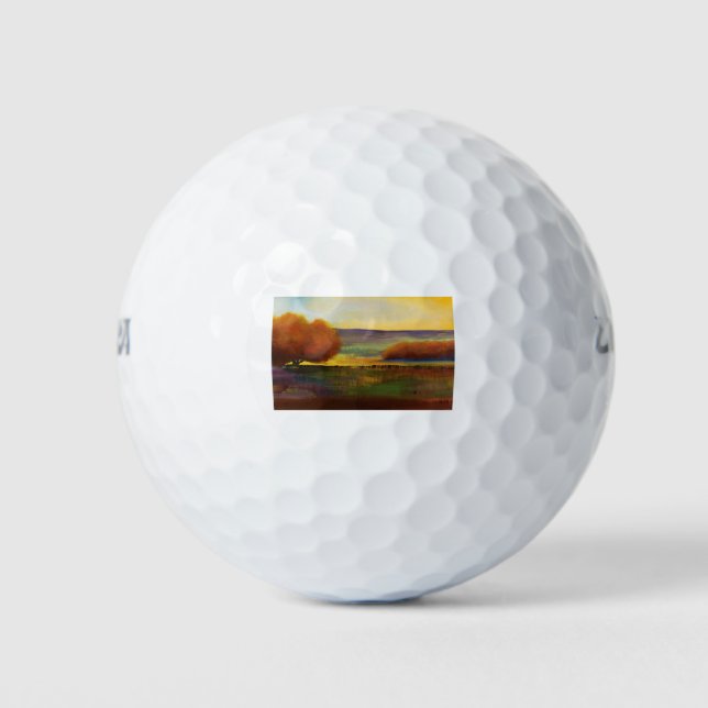 HAZ96 Forest.tif Golf Balls (Front)