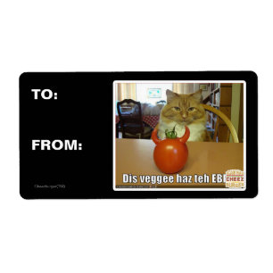 Haz de veggee de DIS l'EBIL