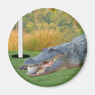 Hazardous Lie Golfing Alligator Magnet