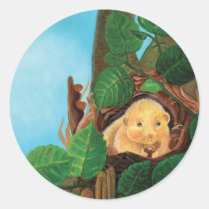 Hazel dormouse eating hazelnut  classic round sticker