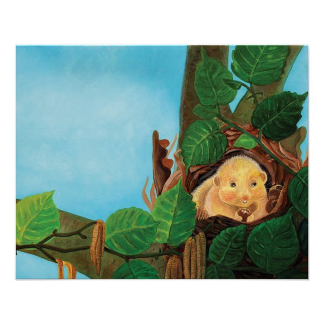 Hazel dormouse eating hazelnut  poster (Front)