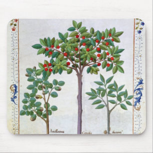 Hazelnut Bush and Cherry tree Mouse Pad
