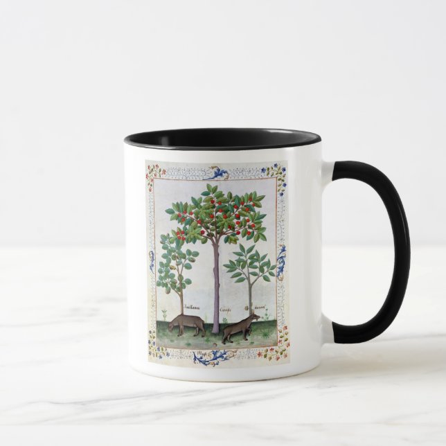 Hazelnut Bush  and Cherry tree Mug (Right)