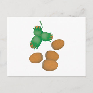 hazelnuts postcard