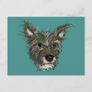 haziepups postcard