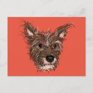 haziepups postcard
