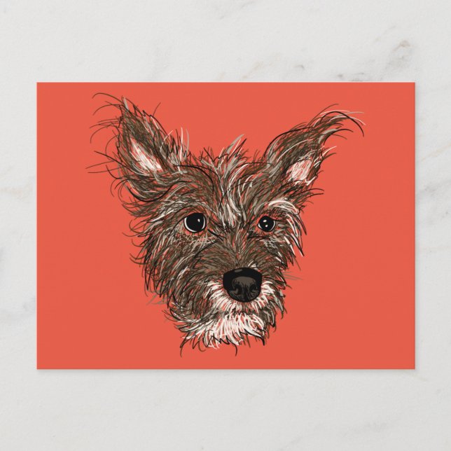 haziepups postcard (Front)