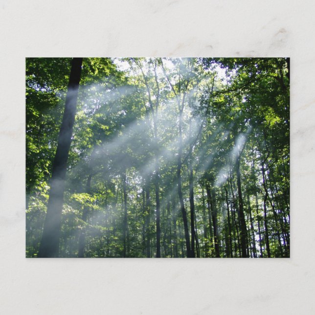 Hazy Tranquillity Postcard (Front)