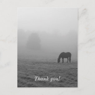 Hazzy Grazing Grayscale Postcard