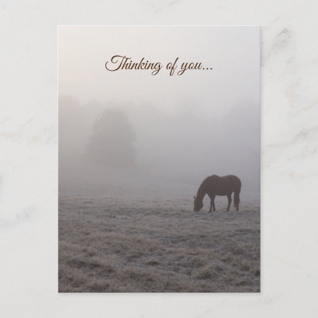 Hazzy Grazing Thinking Of You Postcard (Front)