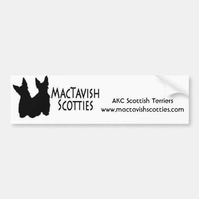 hdr_two, AKC Scottish Terrierswww.mactavishscot... Bumper Sticker (Front)