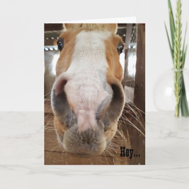 "Hé. Carte d'anniversaire" (Devant)