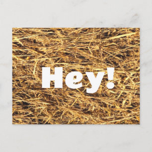 Hé ! Carte postale Hay