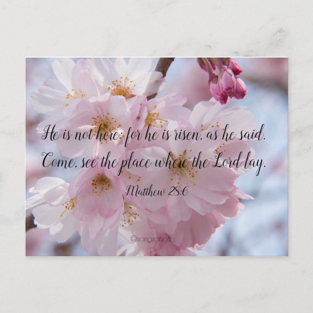 He is risen! postcard (Front)