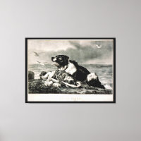 He Is Saved by and Rescue Dog