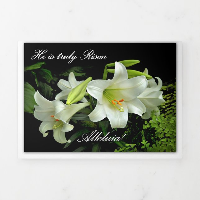 He is Truly Risen Happy Easter with White Lilies Tri-Fold Holiday Card (Cover)