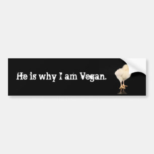 he is why I am vegan Bumper Sticker