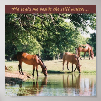He leads me beside the still waters ... poster