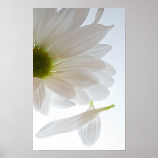 He Loves Me...He Loves Me Not Poster (Front)