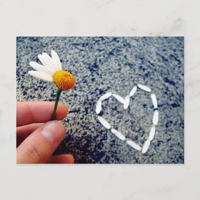 He Loves Me Postcard (Front)